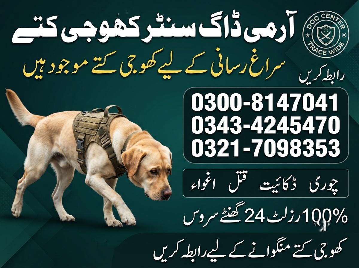 Faisalabad Army Dog Center 03217098353/03434245470