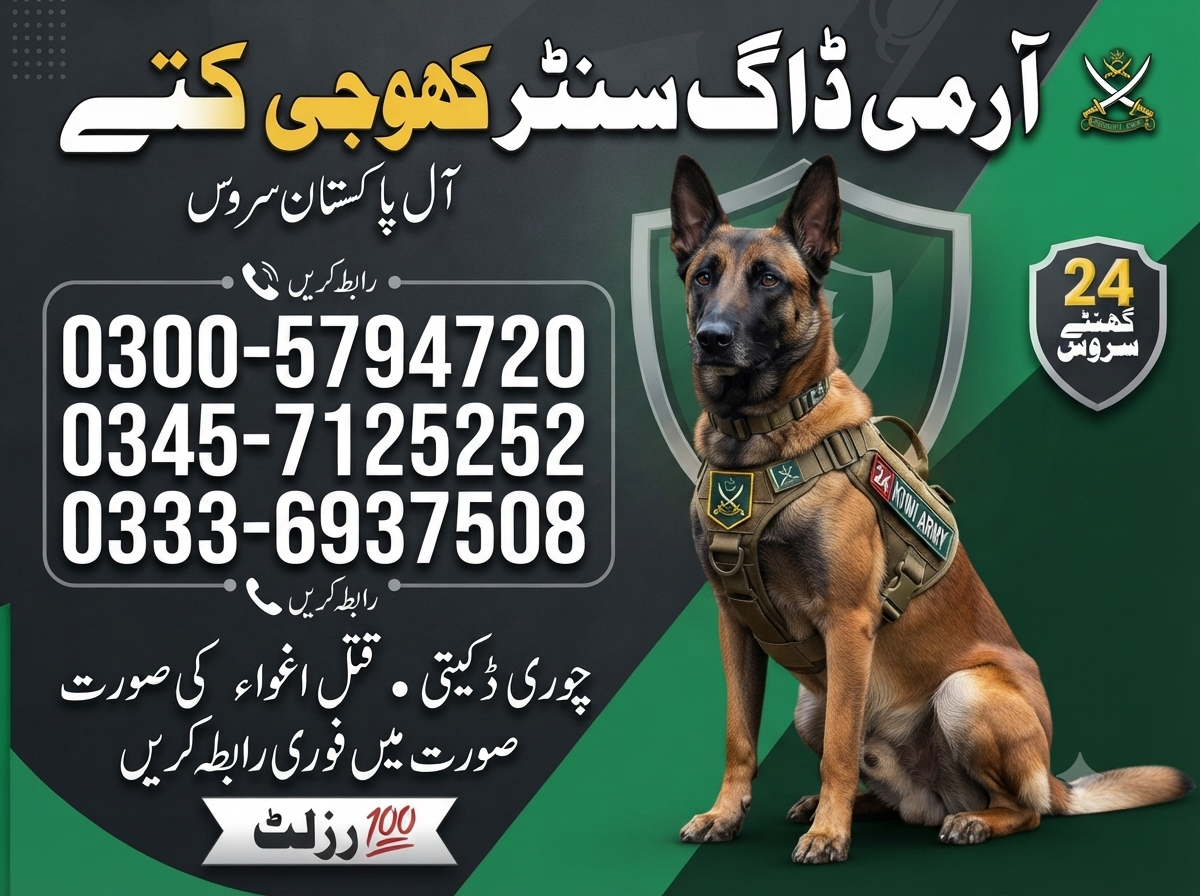Army Dog Center Sadiqabad 03457125252| 03126937508