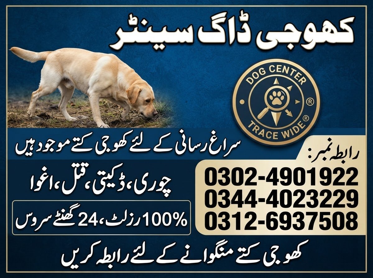 Army Dog Center Punu Aqil 03005628558/03336937508