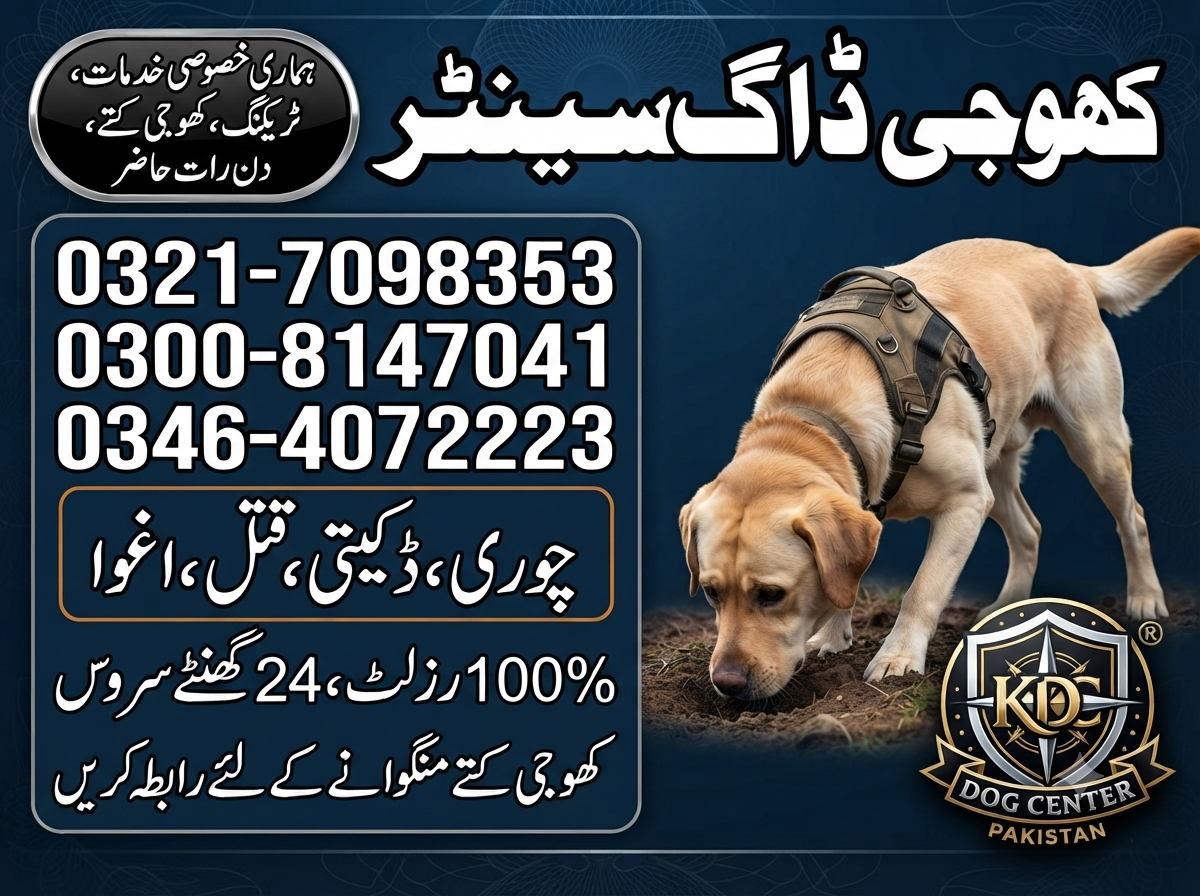 Army Dog Center Sialkot Call Now 03464072223/03176099175