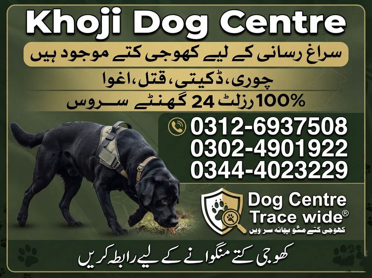 Dog Center Hyderabad 03126937508/03464072223