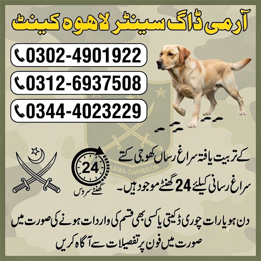 Army Dog Center Lahore Services | 03336937508