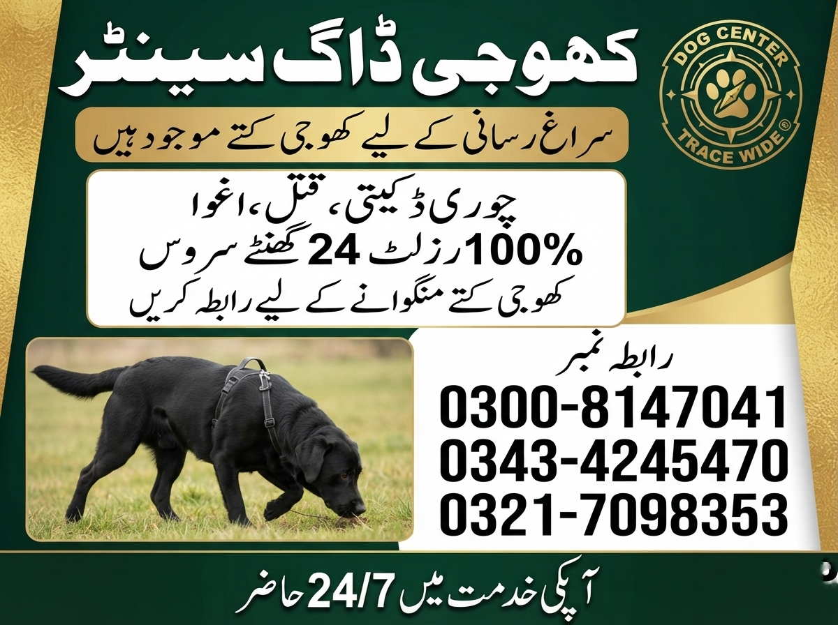 Army Dog Center Islamabad  03008147041/03434245470