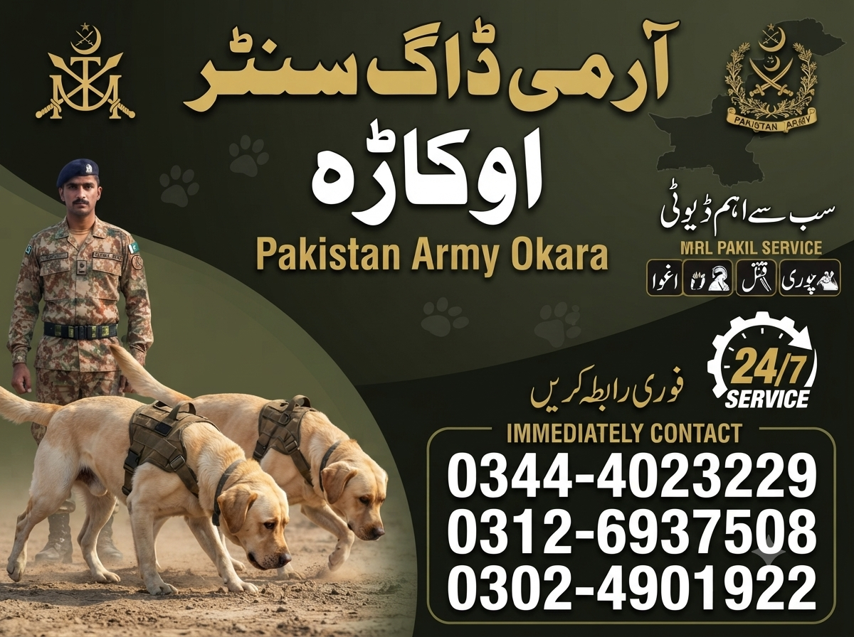 Army Dog Center Okara  03444023229|03024901922