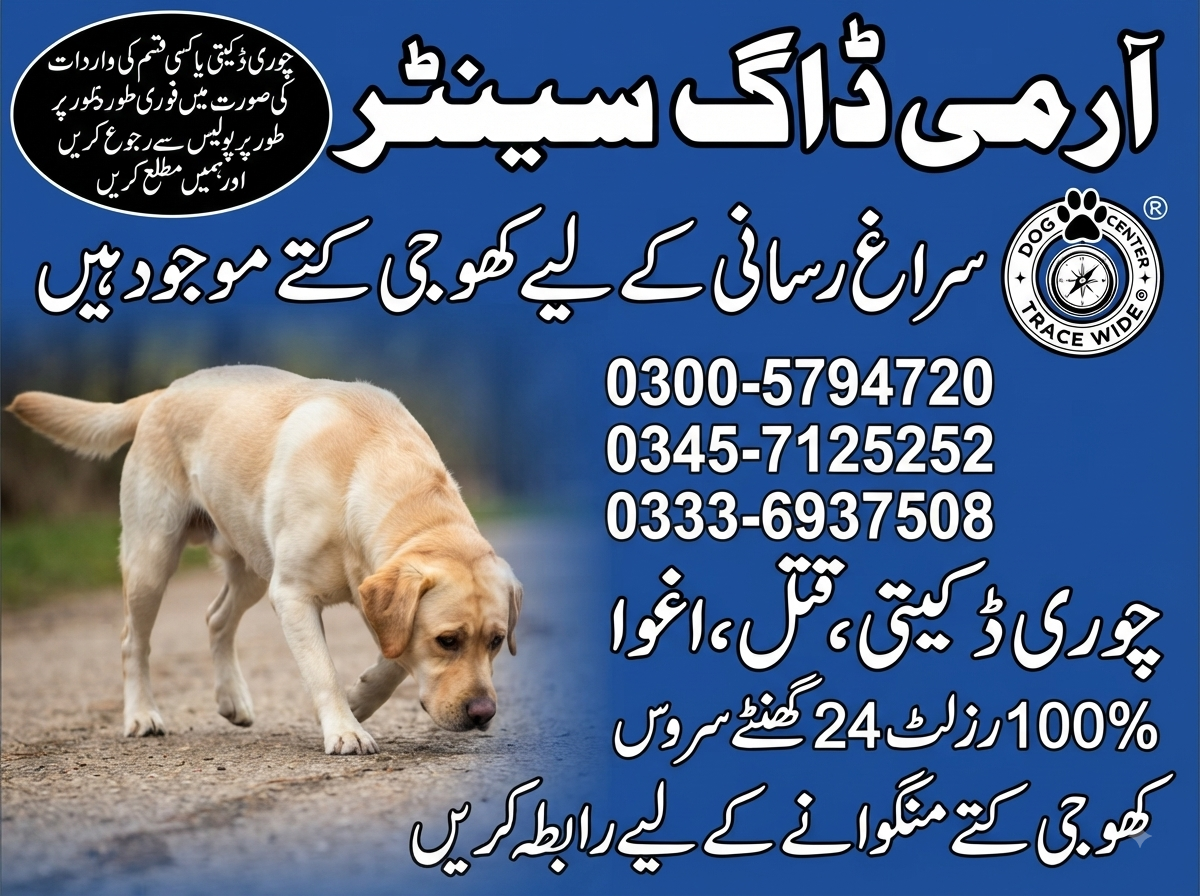 Army Dog Center Rawalpindi Call Now 03336937508