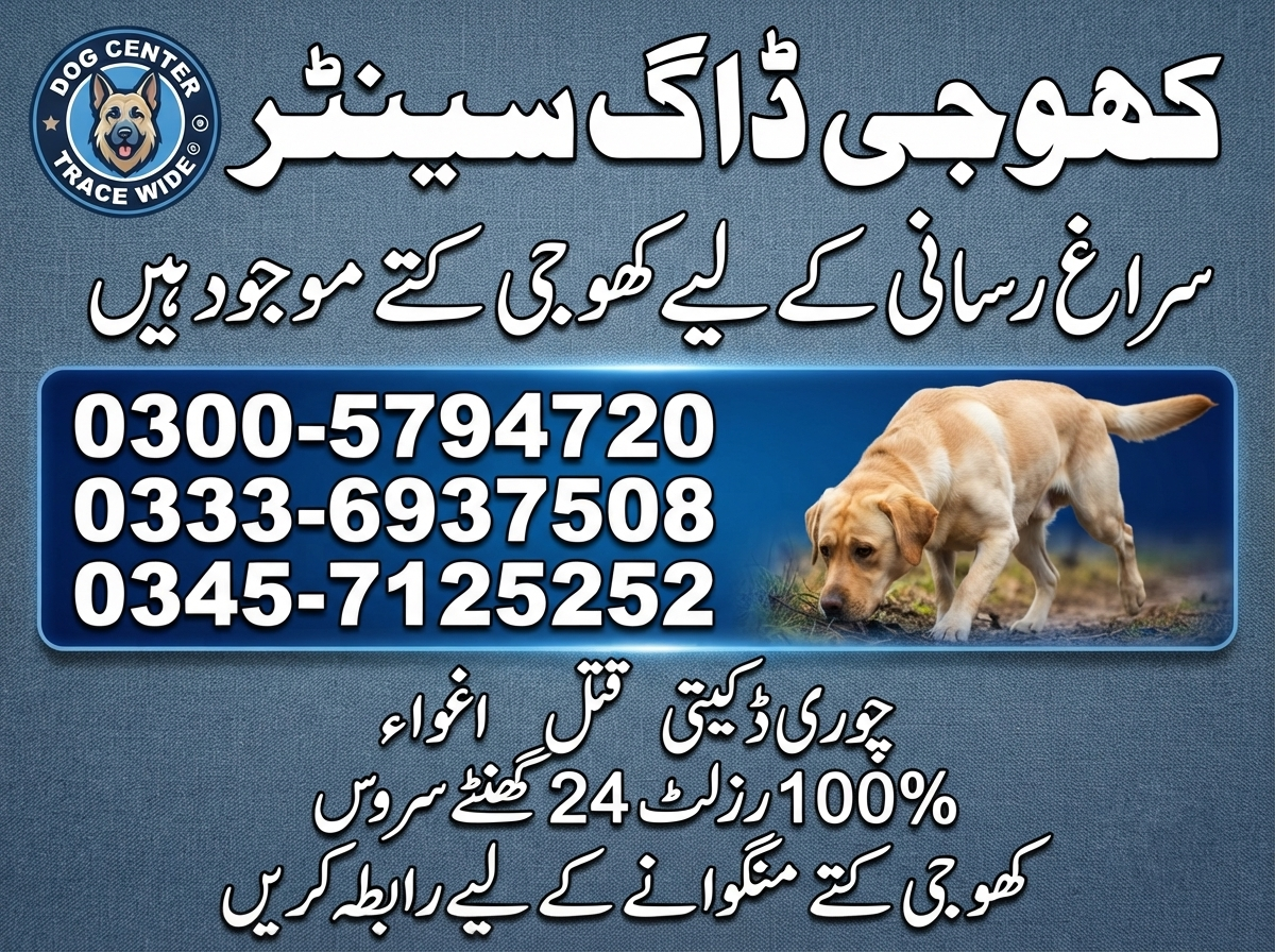Army Dog Center Rawalpindi 03336937508/03005794720