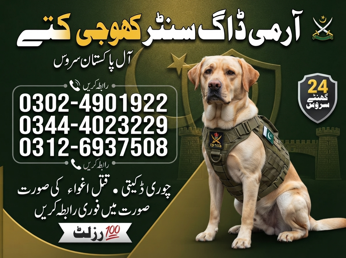Army Dog Center Bahawalpur  03444023229| 03005628558