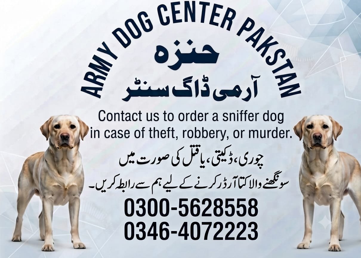 Army Dog Center Hunza