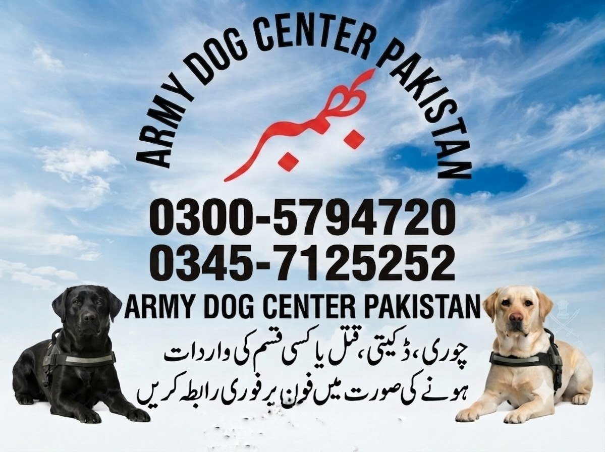 Army Dog Center Bomber