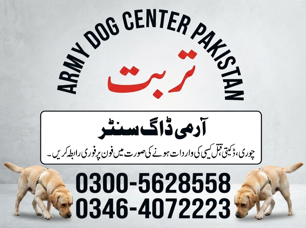 Army Dog Center Turbat