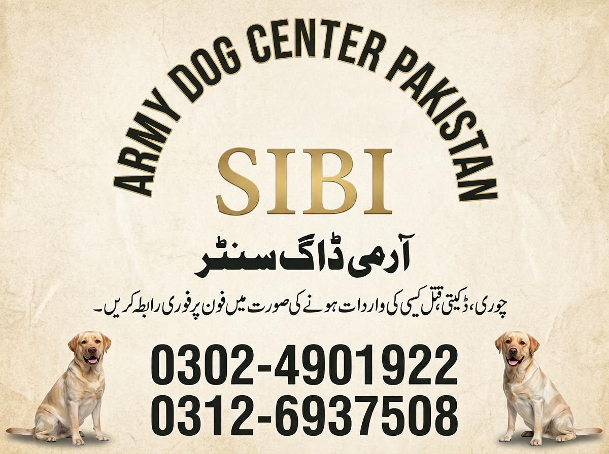 Army Dog Center Sibi