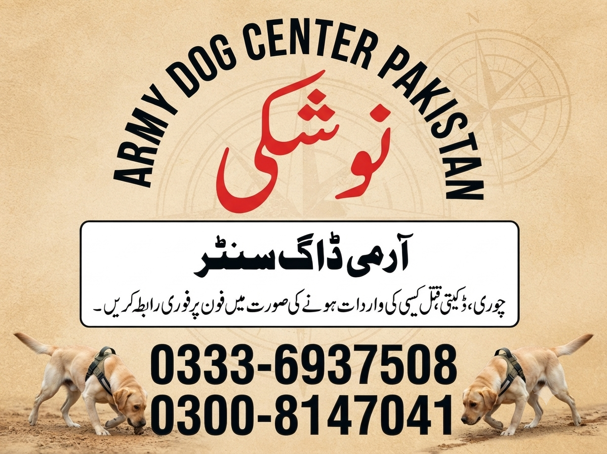 Army Dog Center Noshki