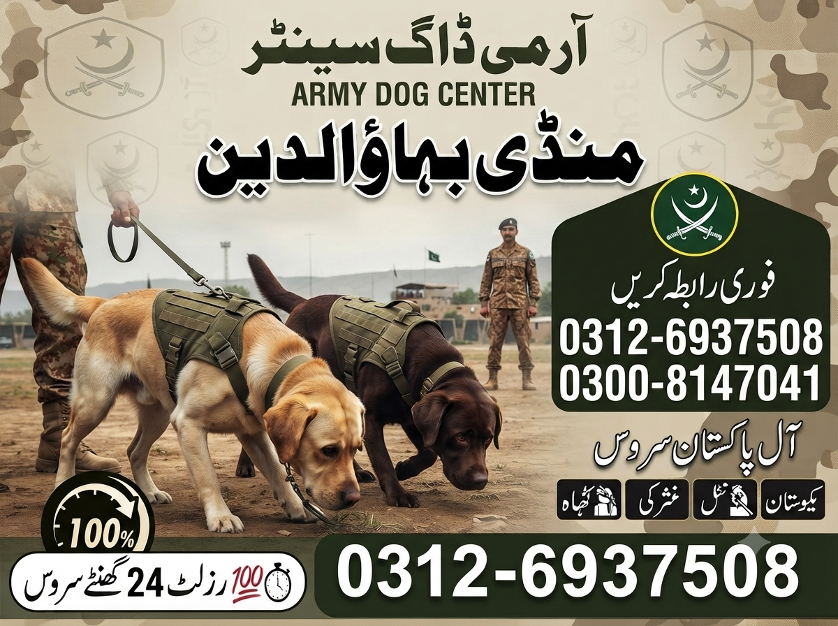Army Dog Center Mandi bahauddin