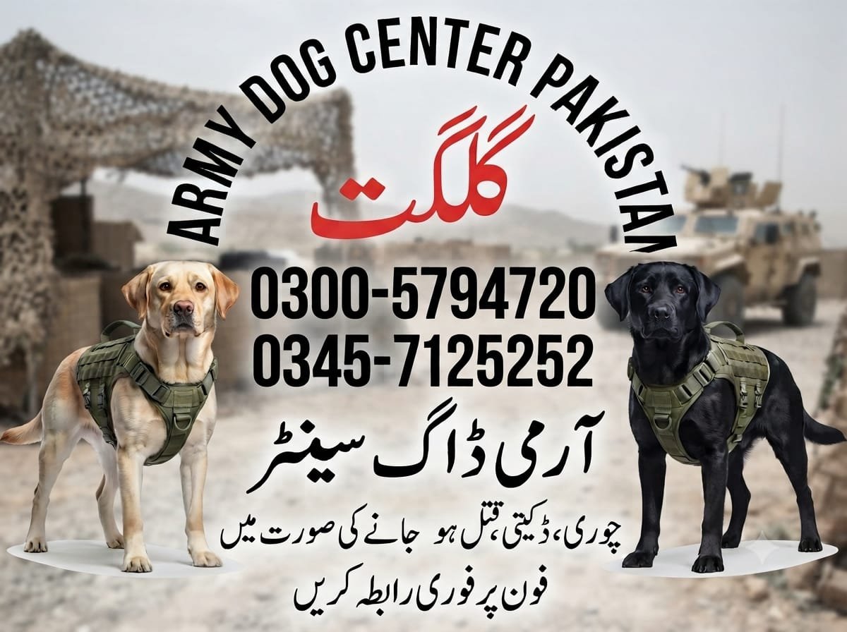 Army Dog Center Gilgit
